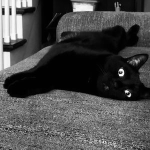 Meet your Posher, Johnna